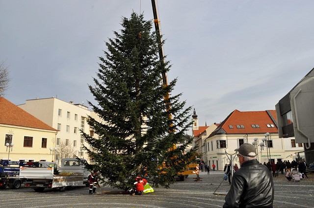 Vianočný strom v Trnave bude zložený z dvoch častí, vrcholec sa počas nakladania odlomil
