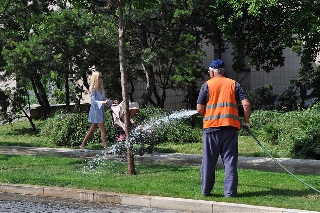 Závlahy na Halenárskej ulici nefungujú, Trnava si objednala nové