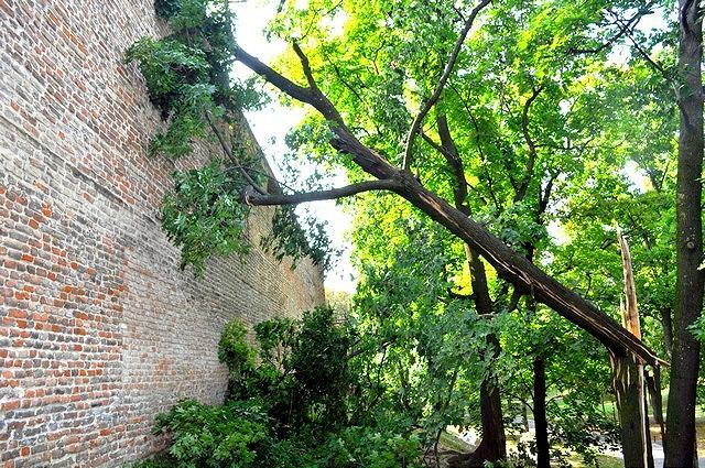FOTO: Smršť lámala stromy, dva spadli aj na hradby