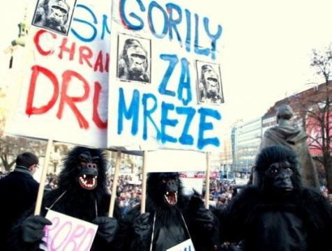 Trnava proti Gorile: Ľudia budú protestovať deň pred voľbami