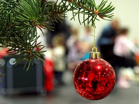 RTVS sľubuje na sviatky program pre celú rodinu, na Silvestra aj koncert Robbieho Williamsa