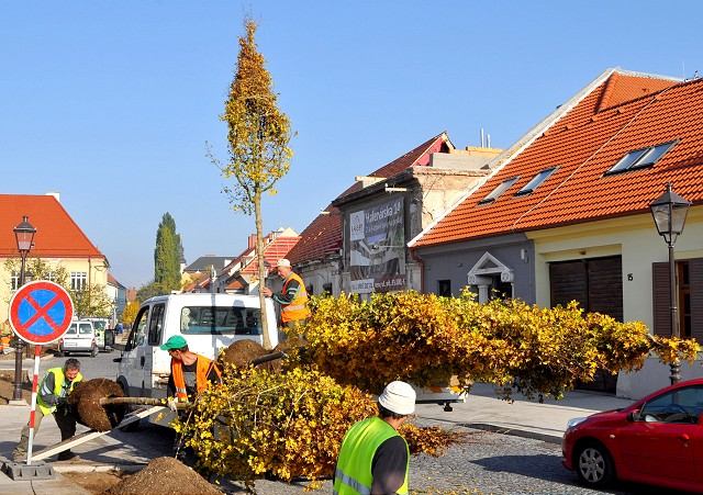 Halenárska bude zelenšia, na ulici po rekonštrukcii sadia stromy