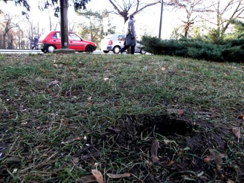 Hovädo zatiaľ vedie nad vtáčikmi v promenáde jeden nula