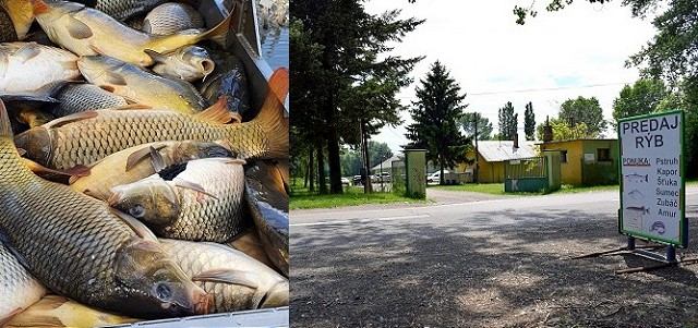 Predajňa čerstvých rýb v Kamennom mlyne je otvorená, ponúka aj rozvoz