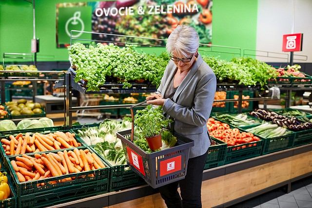 Spoločnosť Kaufland otvára novú predajňu v Trnave