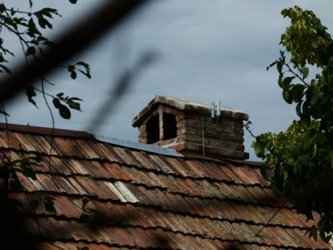 Dajte mu tým ovisnutým zelerom po tej sprostej hlave!