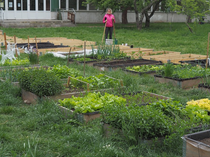 Komunitná záhrada na Mozartovej ulici v Trnave bude mať nového správcu