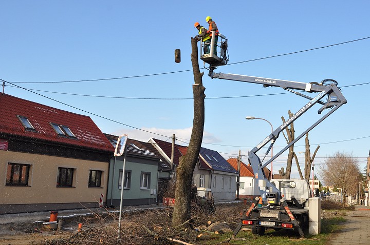 Trnava na druhý pokus kupuje stromy pre Kukučínovu ulicu