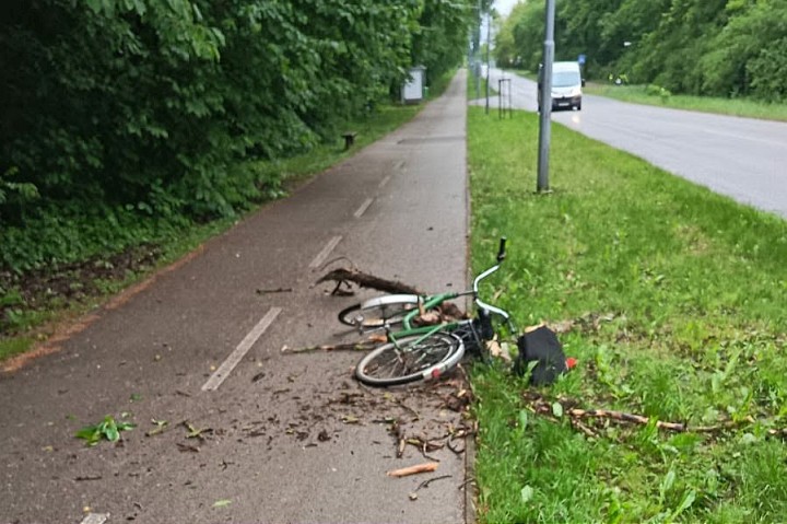 Pri lesoparku zranil cyklistku pád konára, mesto po získaní pozemkov plánuje zásahy