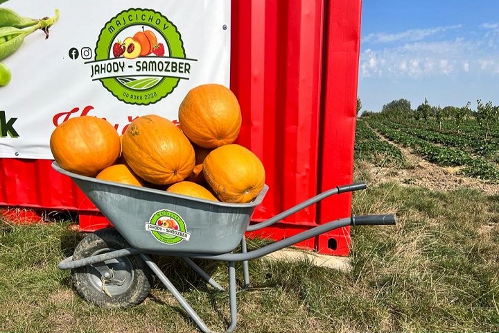 To tu ešte nebolo! V Majcichove bude v sobotu prvý samozber tekvíc