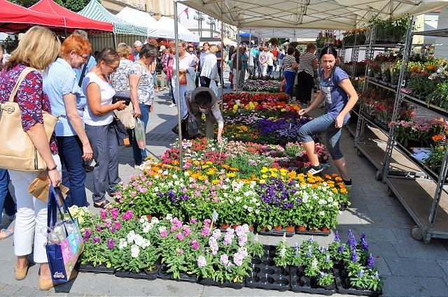 Centrum Trnavy rozkvitne, podujatie Májový kvet prinesie množstvo zelene