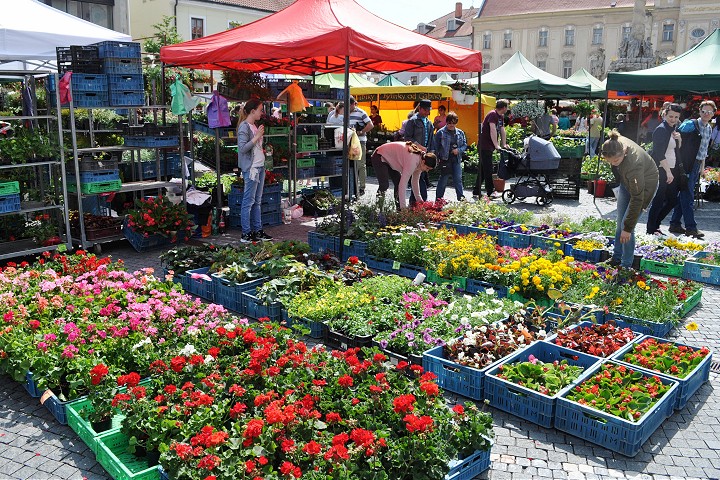 Blíži sa ďalší ročník Májového kvetu, predajcovia sa už môžu prihlasovať