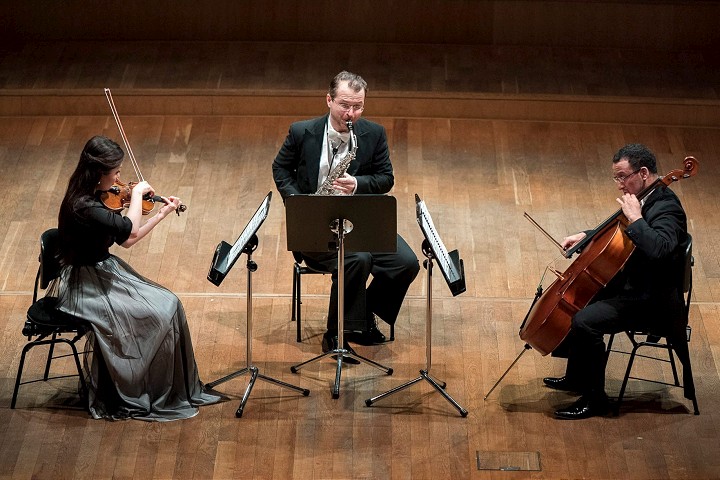 Saxofón, husle a violončelo: Malý Berlín prinesie netradičný online koncert