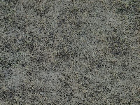 Hrať sa nebude! Všetky futbalové zápasy z oblasti sa odkladajú