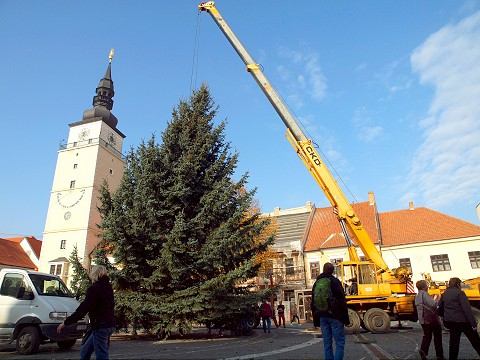 Na Trojičnom námestí už stojí vianočný stromček, pochádza zo Špačiniec