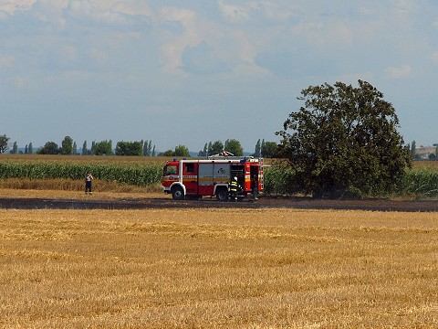 Požiar na poli za trnavskou Kopánkou: Horelo šesť hektárov strniska