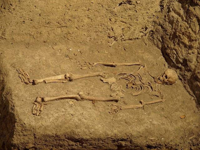 Tento objav mení dejiny Trnavy: Tatárske vpády ľudí v meste výrazne postihli