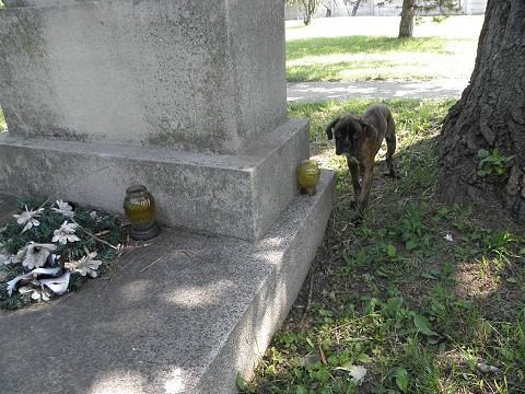 AKTUALIZOVANÉ: Mladík sa polial toluénom a zapálil! Z nešťastnej lásky?