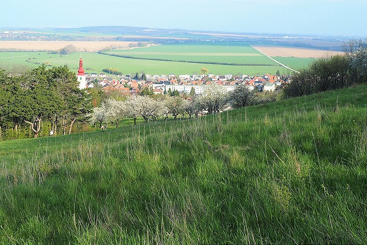 V Smoleniciach ako v Alpách: Na starostlivosť o Molpír nasadia kozy