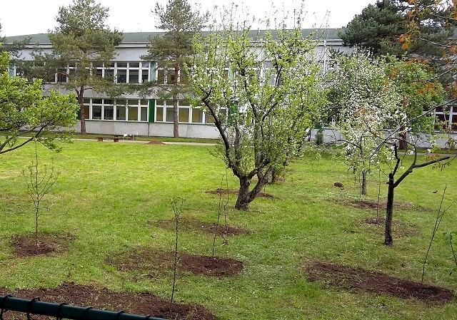 Na Mozartovej opäť otvoria školu, mesto sa zaoberá aj lokalitou V jame