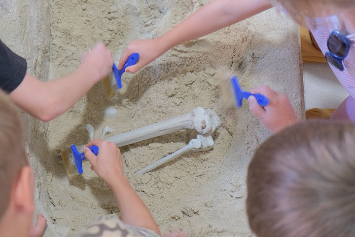 Západoslovenské múzeum má letný program pre deti, môžu sa zahrať na archeológov