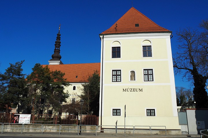 Výstava Na motýlích krídlach v múzeu odhalí, čo voľným oko nevidíme