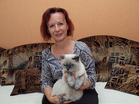 Novodobé mačky nemusia chytať myši. Stačí, že pradú