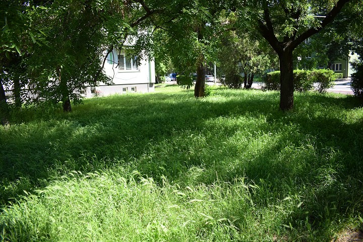 Za nepokosené trávniky zadarmo na kúpalisko! Ponuka Trnavy má však háčik