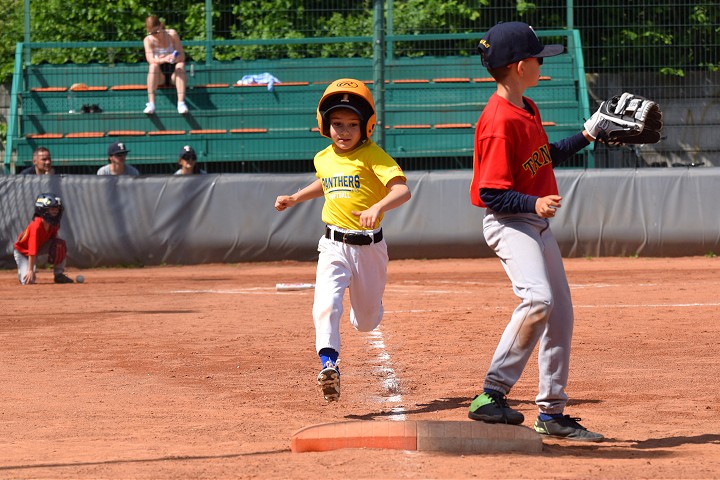 Softbalistky a bejzbalisti odštartujú sezónu Dňom otvorených dverí