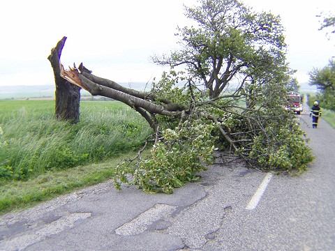 Vietor vyvracia stromy, poškodil vedenie a pútač
