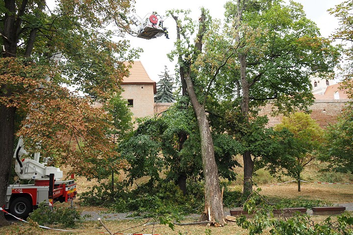 Vyvrátený strom v promenáde ohrozoval chodcov, na pomoc prišli hasiči