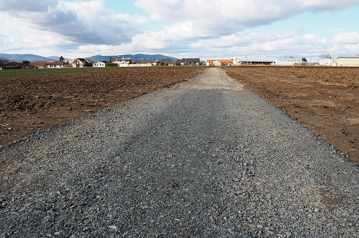 K cyklotrase Bohdanovce - Špačince vysadia lipy, jarabiny, driene aj orgován