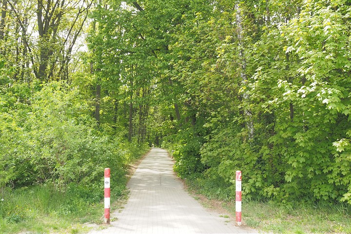 Historický moment: Trnava kupuje lesopark pri Kamennej ceste