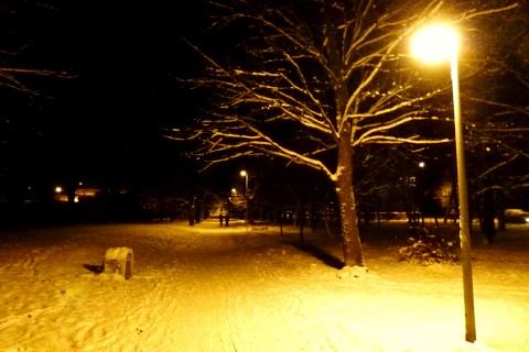 Dámy, pozor na kabelky! V staničnom parku lúpili ženy
