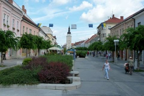Stromy na pešej zóne to majú zrátané, spília ich ešte na jeseň