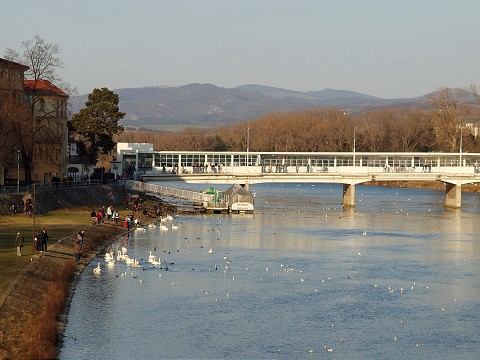 Zmeny na mestskom úrade v Piešťanoch, do funkcii sa vrátili viacerí bývalí zamestnanci