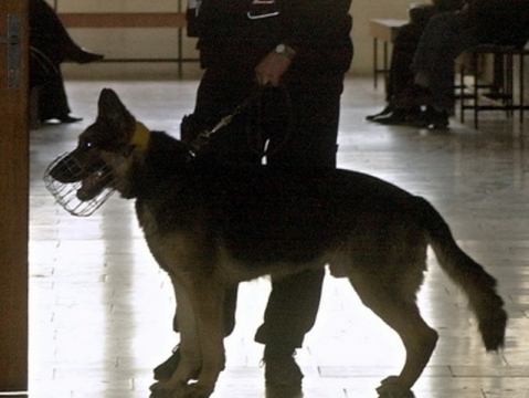 Policajti nacvičovali so psami vyhľadávanie drog a výbušnín