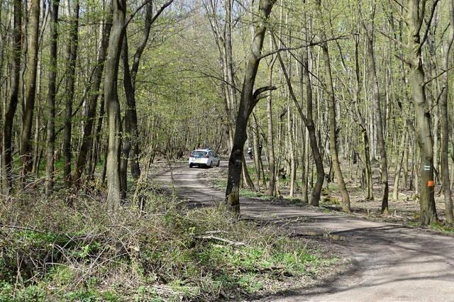 Polícia zasahovala v Malých Karpatoch, chránenú oblasť narušili motoristi