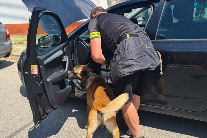 Polícia v Trnavskom kraji zadržala dve drogové dílerky, hrozí im 15 rokov basy