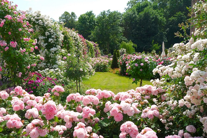 Baletný majster, ružová grófka, spartakovec: Kalendár pripomína osobnosti regiónu