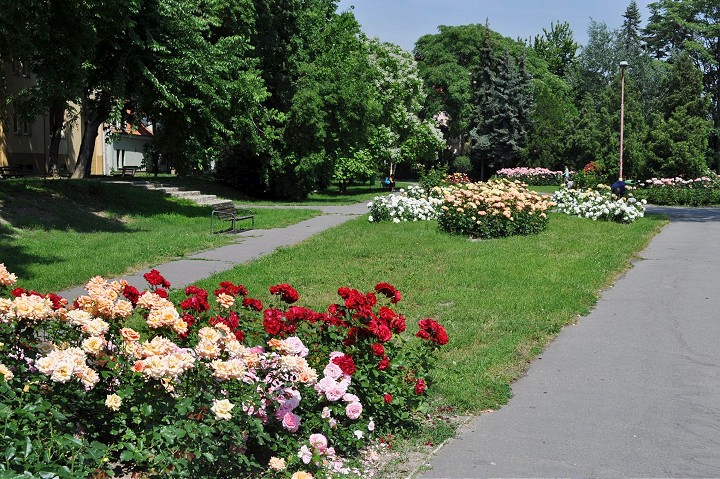 Ružový park v centre Trnavy čaká obnova, radnica hľadá zhotoviteľa