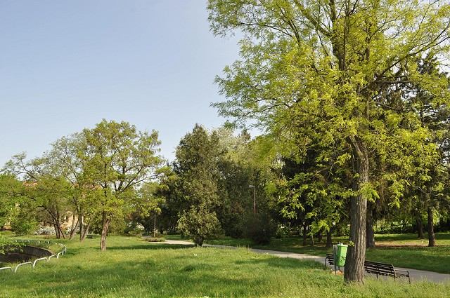 Pri obnove Ružového parku vyrúbu veľký počet stromov, vysadia novú zeleň