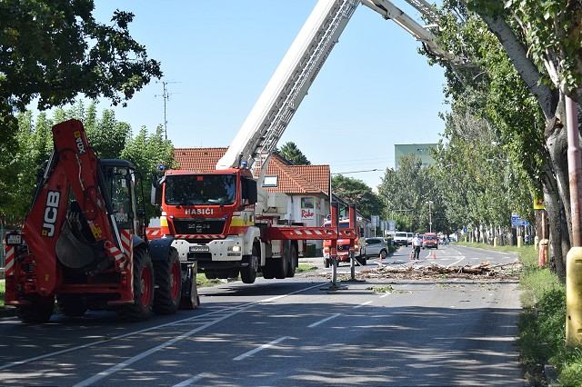 Na Rybníkovej ulici orezávajú stromy, polícia odkláňa dopravu