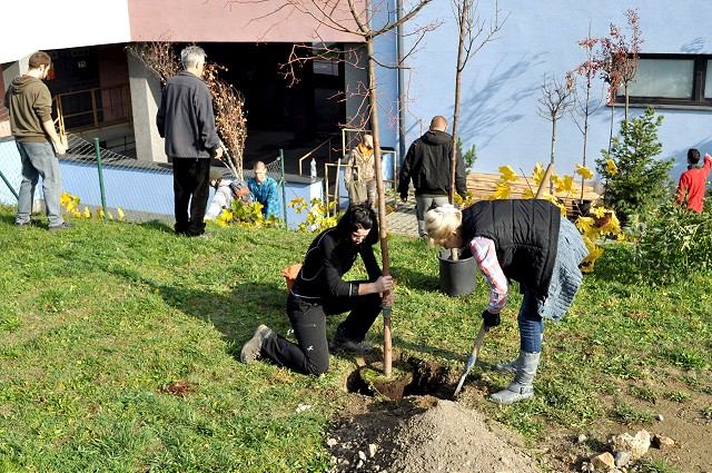 V Trnave cez víkend odštartujú iniciatívu Vysaď si svoj strom