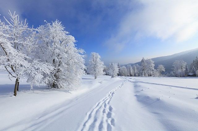 Odchádzate do lyžiarskeho strediska? Čo si treba vziať do hôr