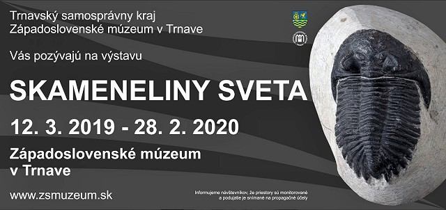 Na mieste súčasného Slovenska bolo kedysi more, potvrdí to výstava v múzeu