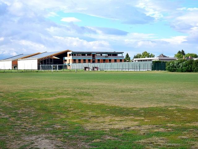 Bročka navrhuje investovať milión eur do športovísk na Slávii