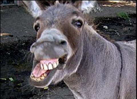 Pri dnešných pokutách človek ani neukáže, aký je chlap