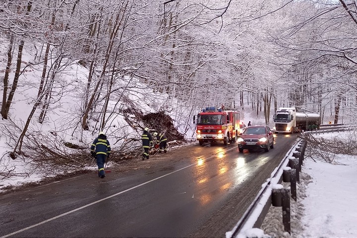Spadnutý strom zablokoval premávku na Bielej hore, cesta už je opäť prejazdná