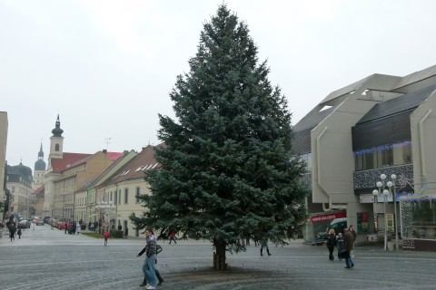 Mesto zdobia vianočné stromčeky, na pešej zóne asi naposledy